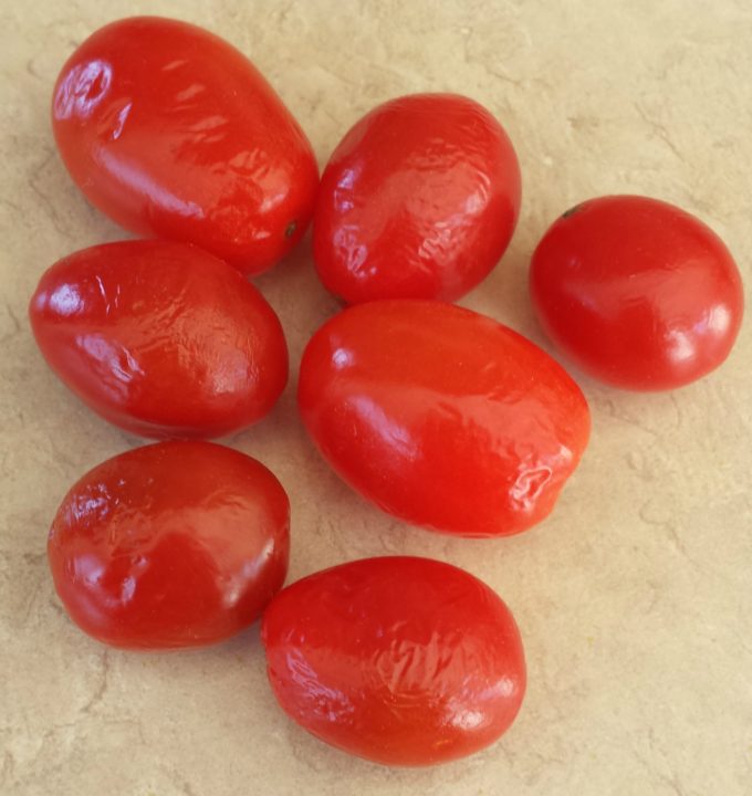 Shriveled tomatoes