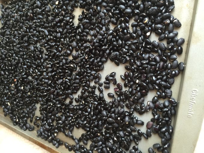 Uncooked Black Beans