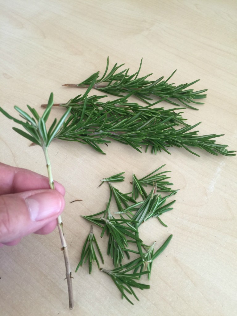 File Jun 10, 9 35 17 PMstrippingALT="fresh rosemary"