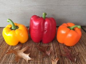 Colorful bell peppers