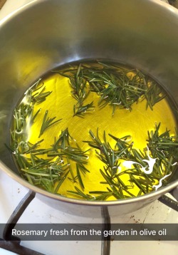 making rosemary infused olive oil
