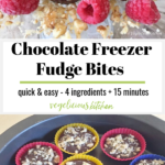 2 photo Pinterest graphic with a clear glass plate of chocolate freezer fudge topped with walnuts and a few raspberries and bottom pan of chocolate freezer fudge in colorful silicon molds